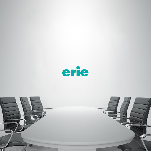  1 ft x 2 ft Fan WallSkinz - erie