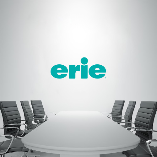  3 ft x 4 ft Fan WallSkinz - erie
