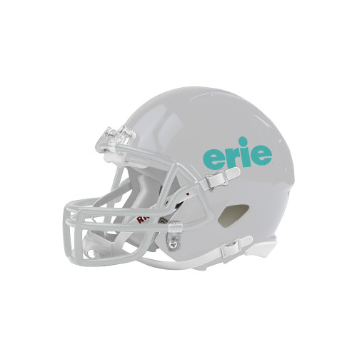  Riddell Replica White Mini Helmet - erie