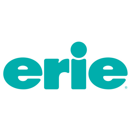  Large Decal - erie