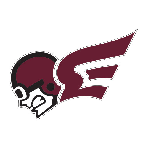  Medium Decal - Flying Fleet Mascot