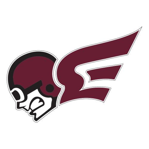  Large Decal - Flying Fleet Mascot