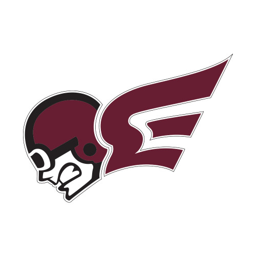  Small Decal - Flying Fleet Mascot