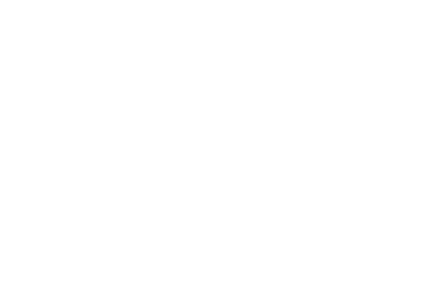 Erskine Flying Fleet