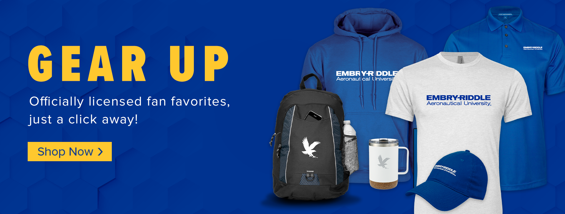 EmbryRiddle Worldwide Home