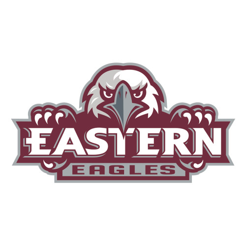  Large Decal - Official Logo
