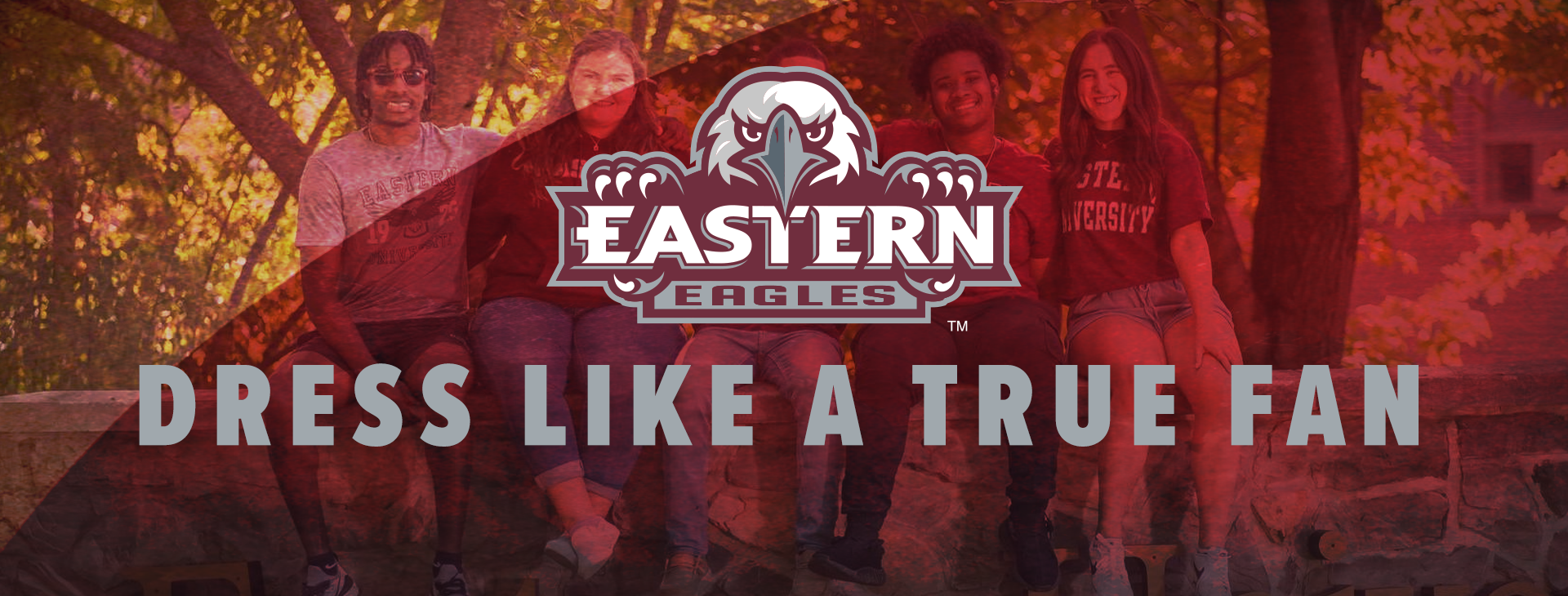 Promotional banner