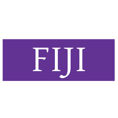  2 x 8 Banner - FIJI