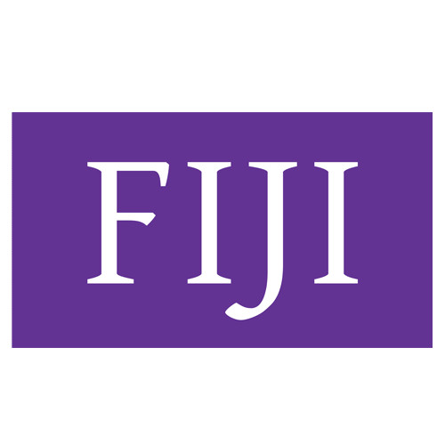  3 x 8 Banner - FIJI