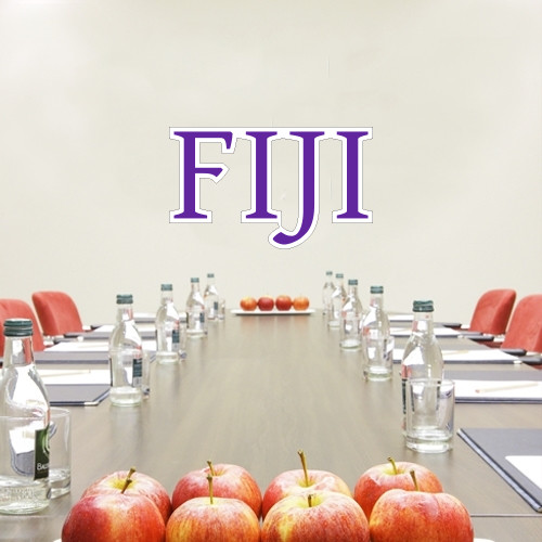 2 ft x 4 ft Fan WallSkinz - FIJI