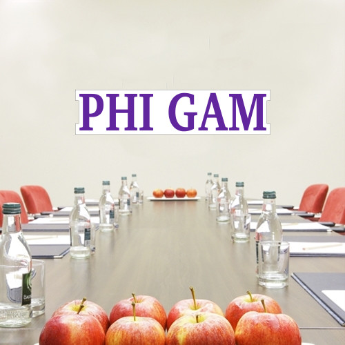  2 ft x 6 ft Fan WallSkinz - Phi Gam