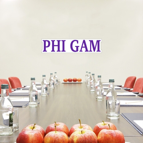  1 ft x 3 ft Fan WallSkinz - Phi Gam