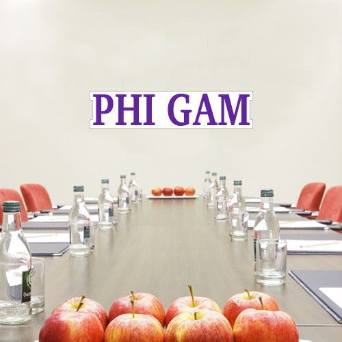  1.5 ft x 4 ft Fan WallSkinz - Phi Gam