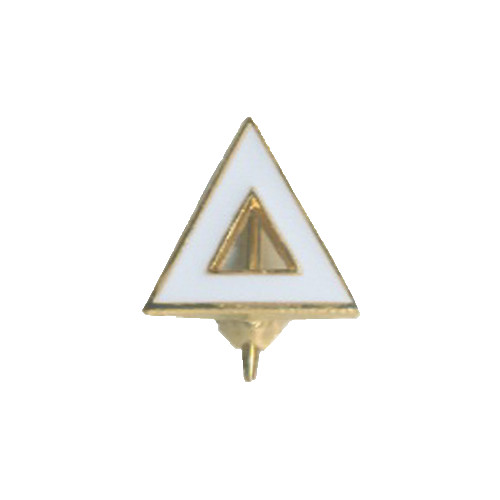  Colony Pledge Pin