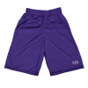 Thumbnail image for  Purple Performance Classic 9 Inch Short