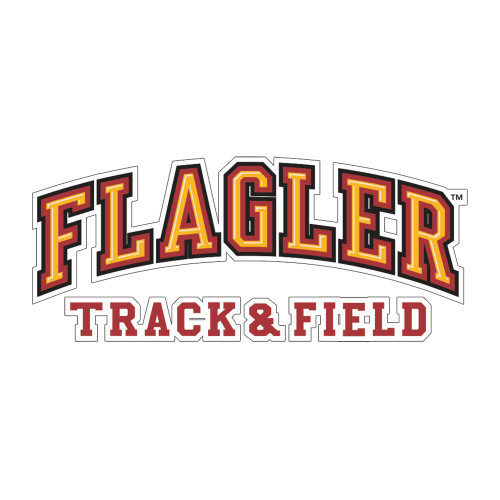  Medium Decal - Track and Field
