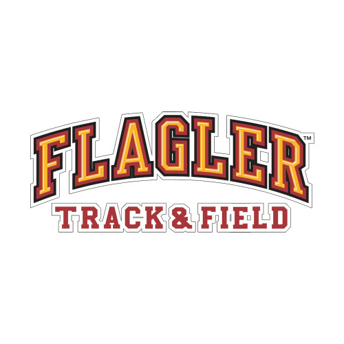  Small Decal - Track and Field