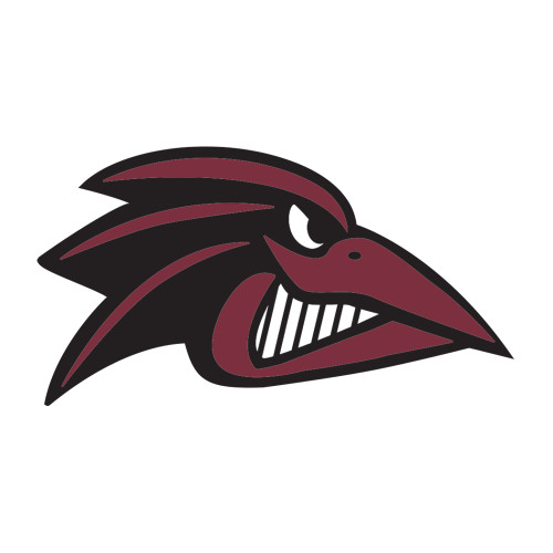  Medium Decal - Raven Head