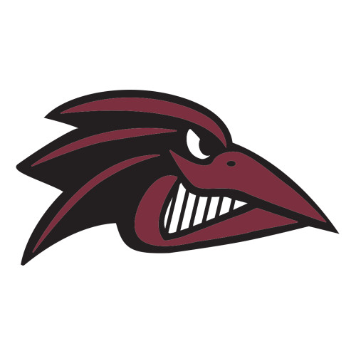  Large Decal - Raven Head
