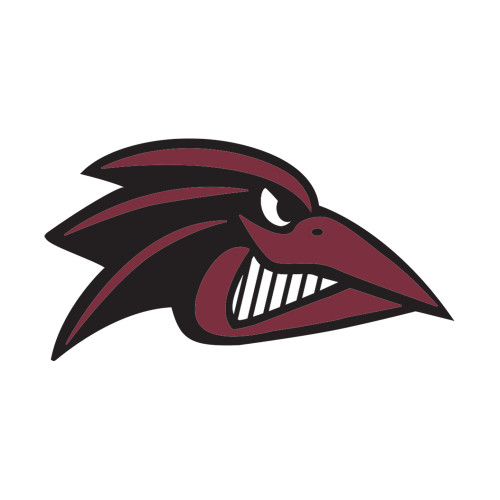  Small Decal - Raven Head