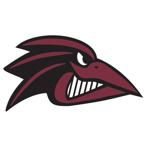  Extra Large Decal - Raven Head