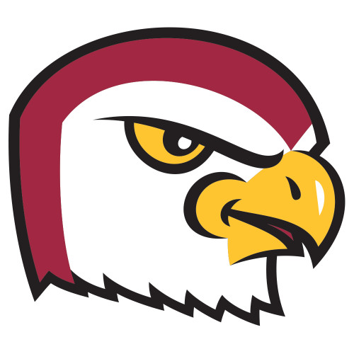 - Friends University Falcons - Decals/Magnets & Auto