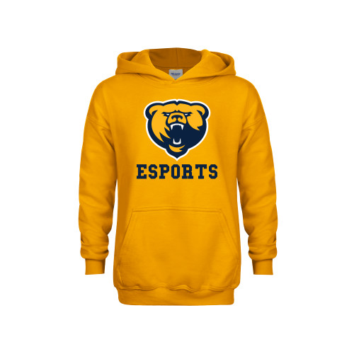  Youth Gold Fleece Hoodie - Franklin College Esports