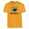 Thumbnail image for  Youth Gold T Shirt