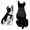 Thumbnail image for  Black Pet Bandana