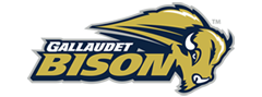 Gallaudet Bison