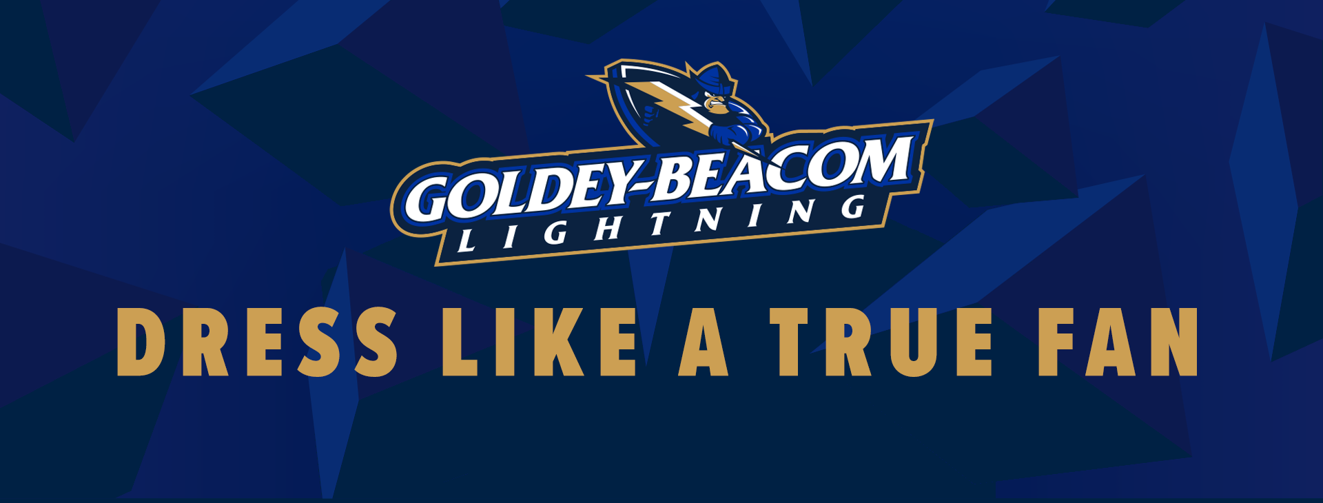 Promotional banner