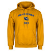 Thumbnail image for  Gold Fleece Hoodie