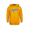 Thumbnail image for  Youth Gold Fleece Hoodie