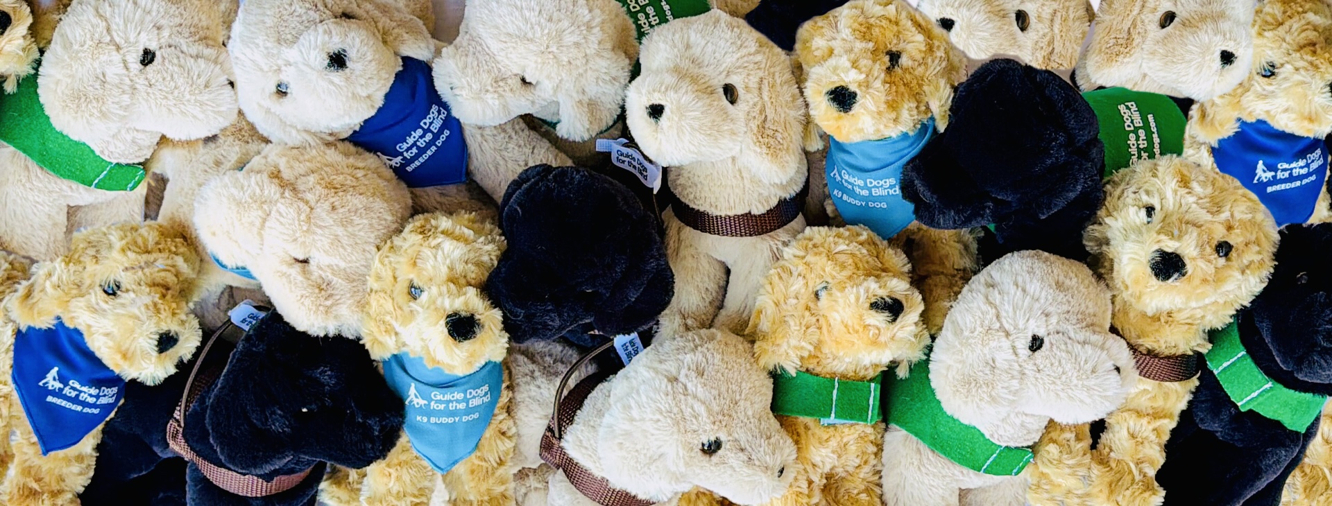 A jumbled pile of yellow, black, and Golden Retriever plush toy puppies outfitted with custom Guide Dogs for the Blind gear including green puppy coats, brown harnesses, aqua blue K9 Buddy scarves, and royal blue breeder dog scarves.