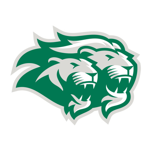  Medium Decal - Lions