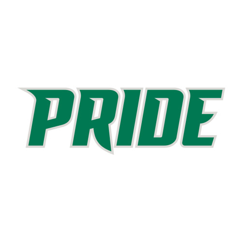  Medium Decal - Pride