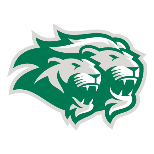  Large Decal - Lions