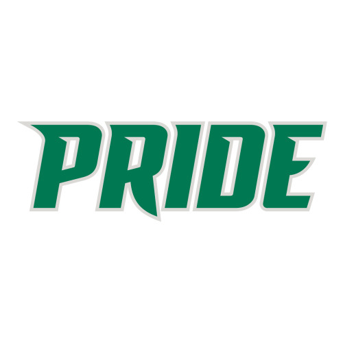  Large Decal - Pride