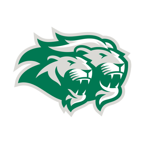  Small Decal - Lions