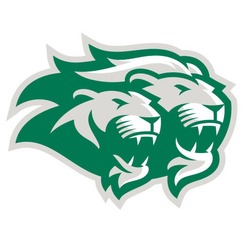  Extra Large Decal - Lions