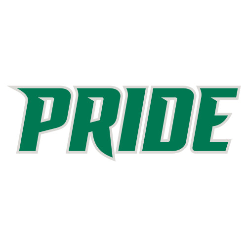  Extra Large Decal - Pride