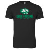 Thumbnail image for  Next Level Black Triblend Tee