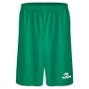 Thumbnail image for  Kelly Green Performance Classic 9 Inch Short