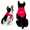 Thumbnail image for  Red Pet Bandana