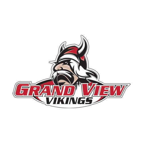  Small Decal - Grand View Viking Head