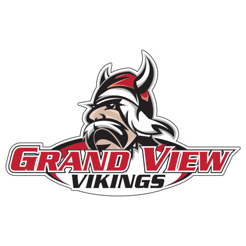  Extra Large Decal - Grand View Viking Head