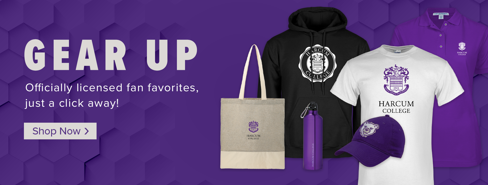 Promotional banner