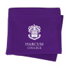 Thumbnail image for  Purple Sweatshirt Blanket