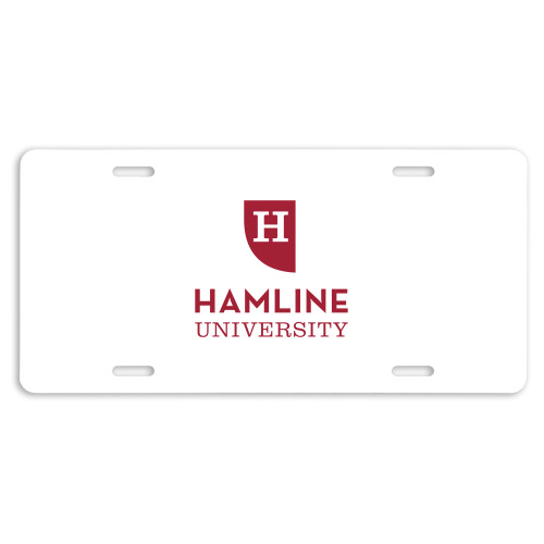  License Plate - Primary
