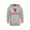 Thumbnail image for  Youth Grey Fleece Hood